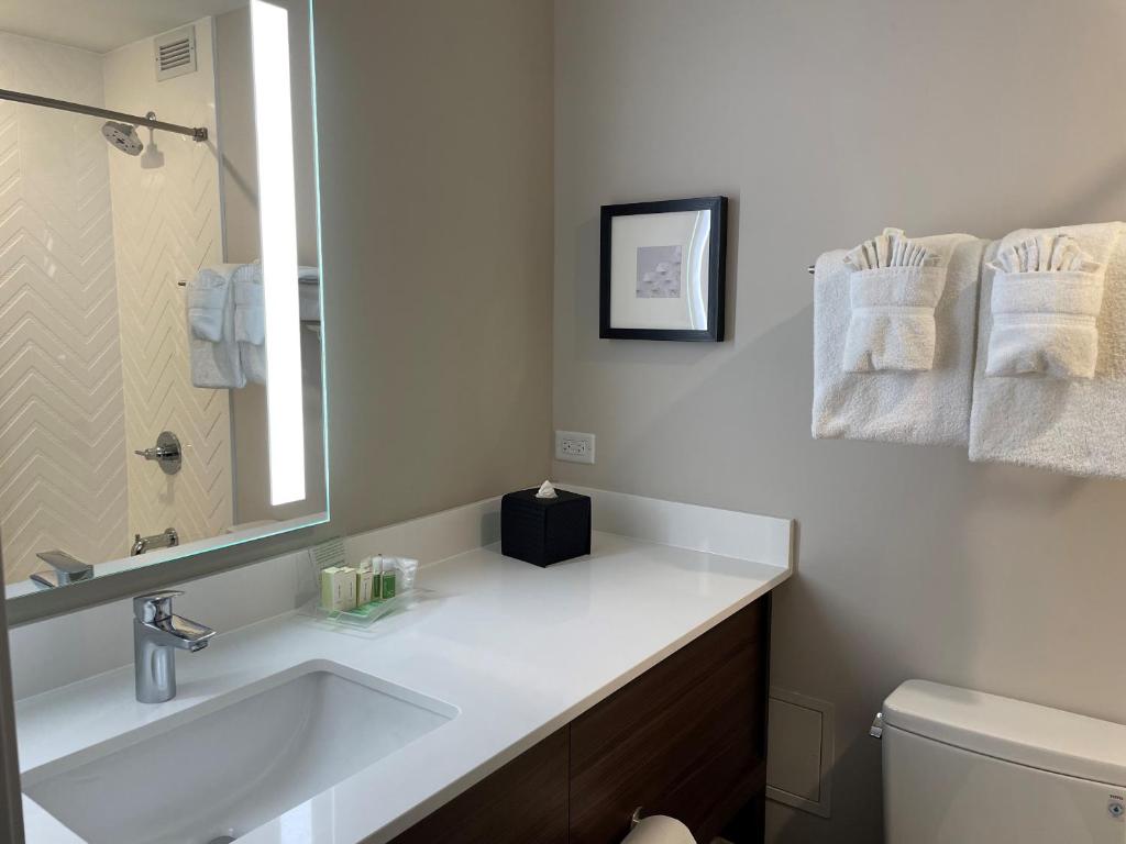 Holiday Inn Hotel & Suites Chicago - Downtown by IHG - Standard Room