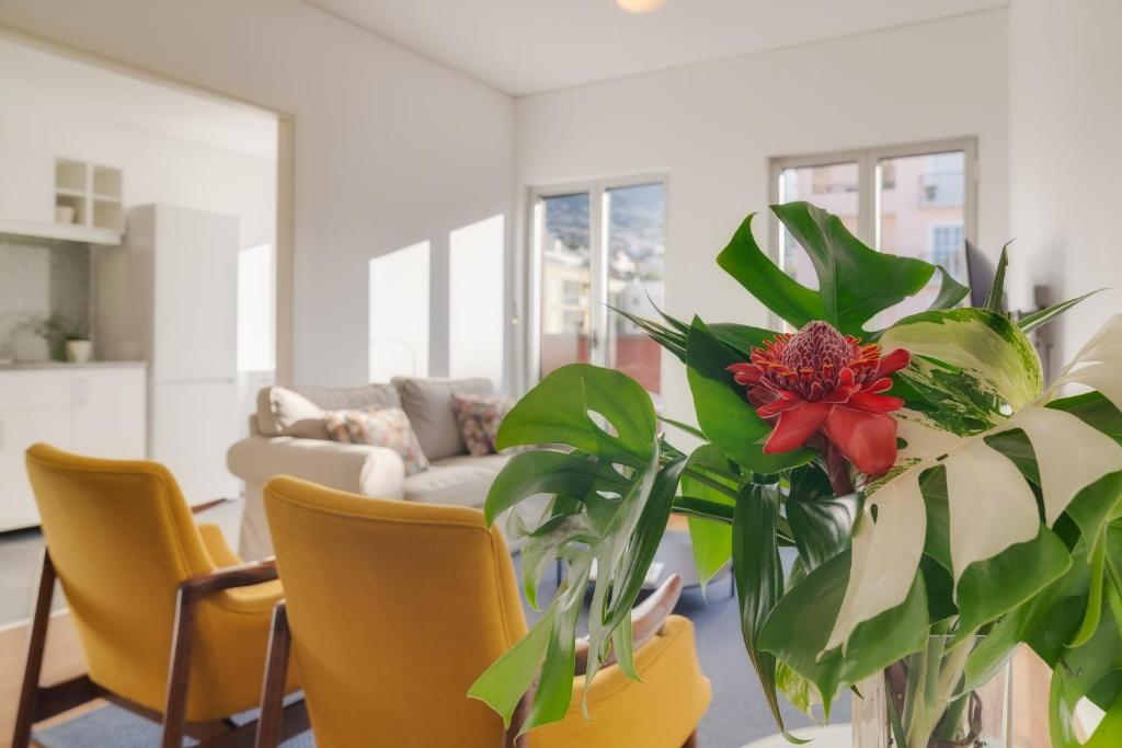 Casa da Praça Apartments - by Casas na Ilha - 2