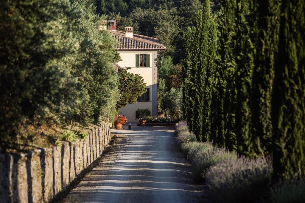 eine leere Straße mit einem Haus in der Ferne in der Unterkunft Wine Resort Dievole in Vagliagli