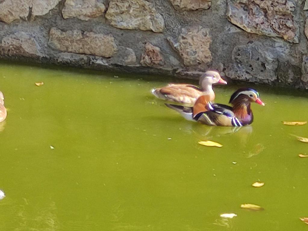 oneiropagidasuites - 10