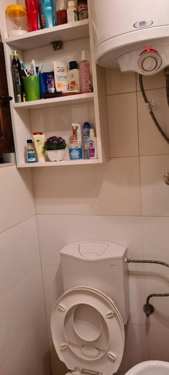 Koupelna v ubytování Ovcar banja