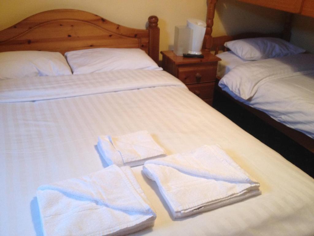 Postel nebo postele na pokoji v ubytování Twin Lions Hotel