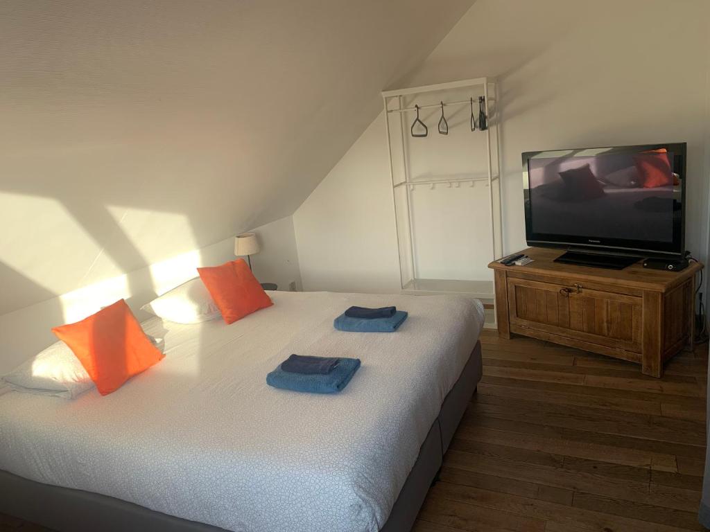 TV a/nebo společenská místnost v ubytování Guest house Time to Escape