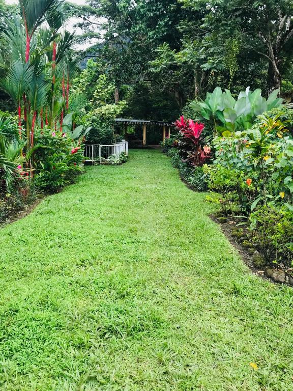 a garden with green grass and colorful flowers and plants at Hostal Lopez El Valle Cabañas in El Valle