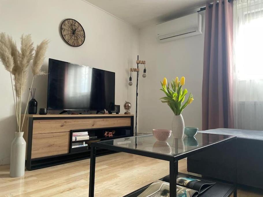 Televízia a/alebo spoločenská miestnosť v ubytovaní Prekrasan mali stan Matilda u Zagrebu