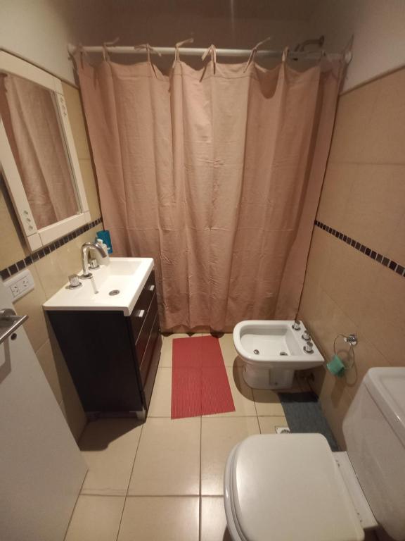 ウシュアイアにあるAPART OTEROのバスルーム(洗面台、トイレ、シャワー付)
