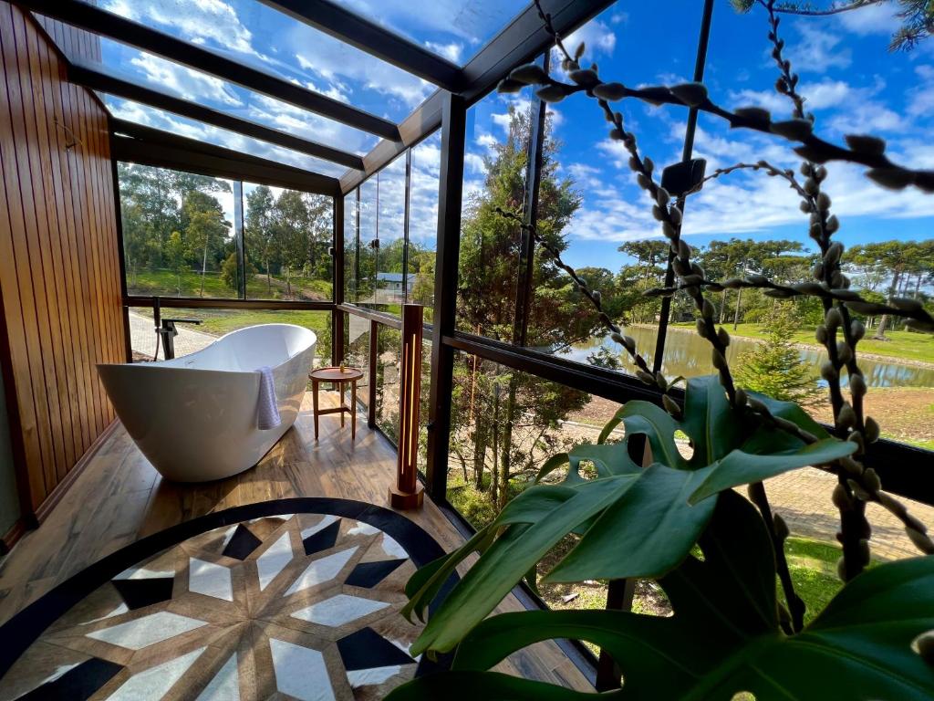 a room with a large window with a plant at WoodStone Hotel Fazenda in Gramado