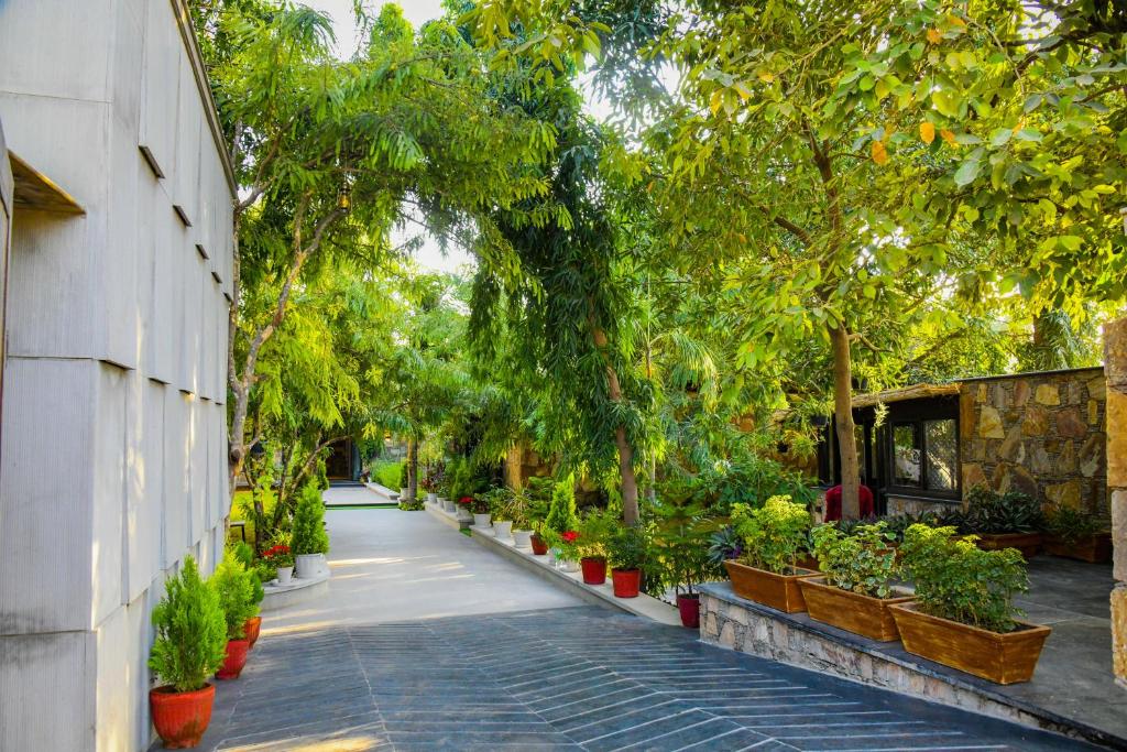 Zahrada ubytování Out House Pushkar