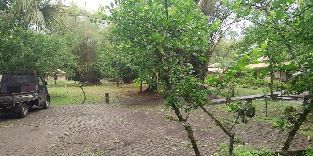 Zahrada ubytování Jawa Jiwa G-Land Resort