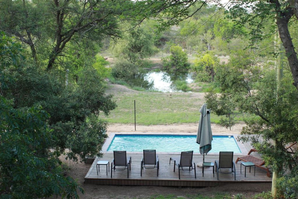 a swimming pool with chairs and an umbrella next to it at Masodini Game Lodge in Hoedspruit