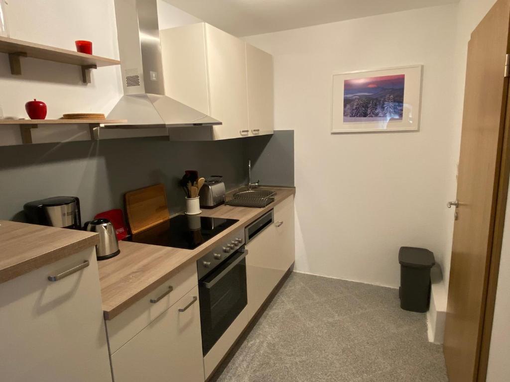 Kuchyň nebo kuchyňský kout v ubytování FeWo Ostrau, neues Bad, neue Küche, zentral, ruhig, Sandstein-Ferien, Terrasse