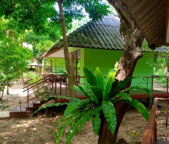 Khao Sok River & Jungle Bungalow - 3