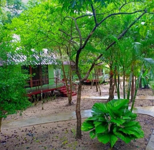 Khao Sok River & Jungle Bungalow - 7