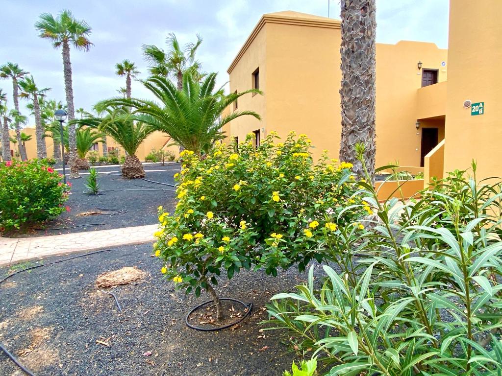A garden outside La Casa di Julia