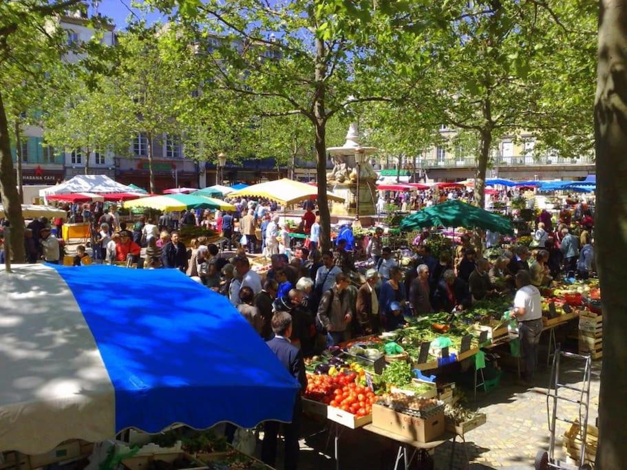 Hostia v ubytovaní Bel appartement à Bastide St Louis