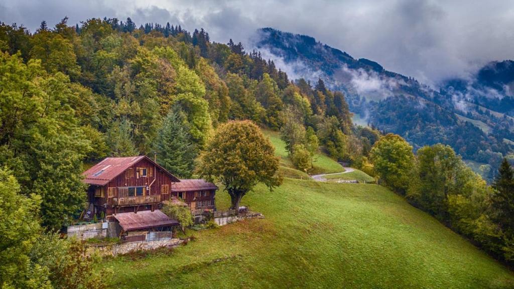 a house on top of a green hill with a tree at Heidi Chalet in Rossinière