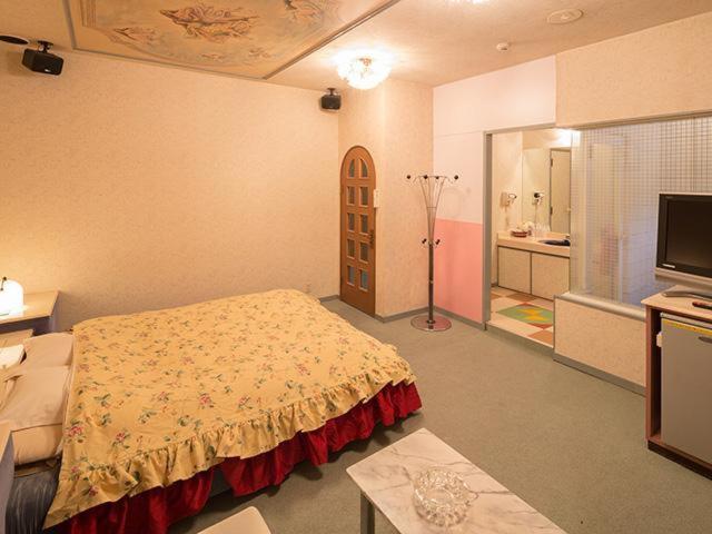 TV a/nebo společenská místnost v ubytování Hotel Sagano (Adult only)