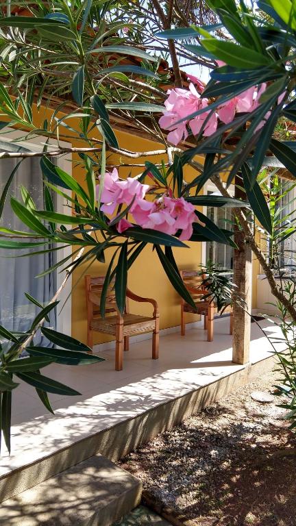 a group of pink flowers sitting on a bench at Aloha Itaúna in Saquarema