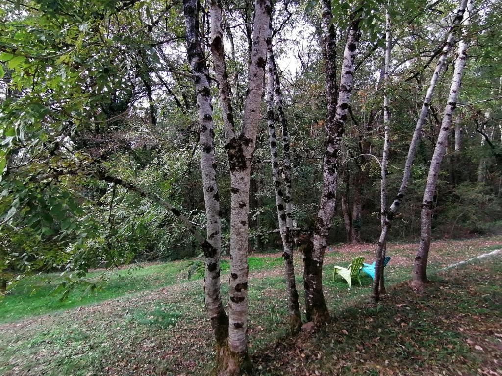 Příroda nedaleko hotelu