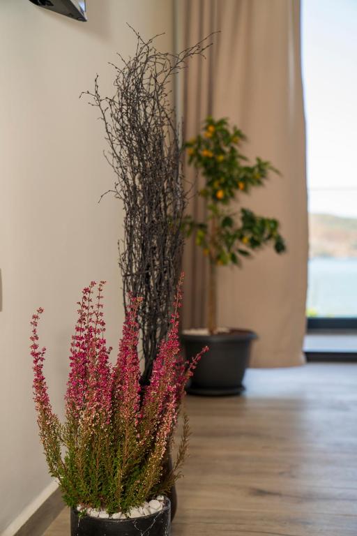 Fotografie z fotogalerie ubytování Ansira Fethiye v destinaci Fethiye