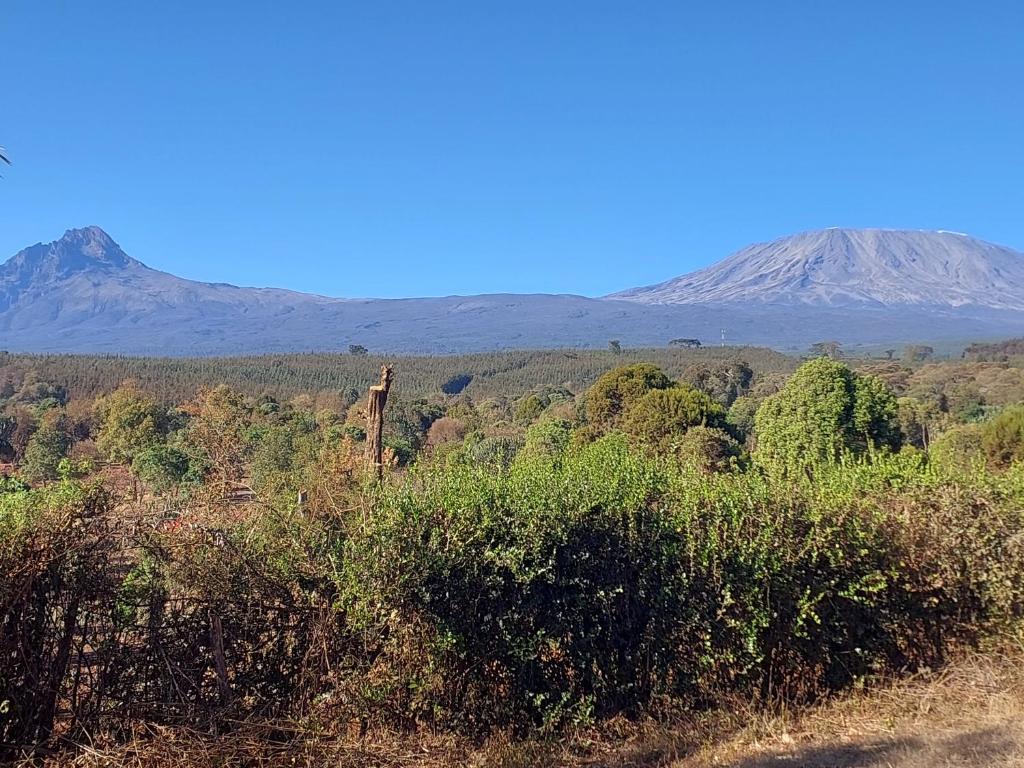 Pemandangan gunung umum atau pemandangan gunung yang diambil dari hotel