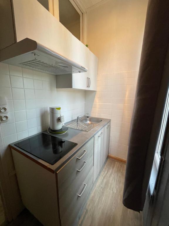 a small kitchen with a sink and a counter at Les bords du lac in Cany-Barville