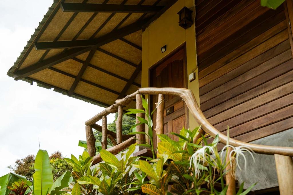 Monkey Mansion - Jungalows & Tours - 19