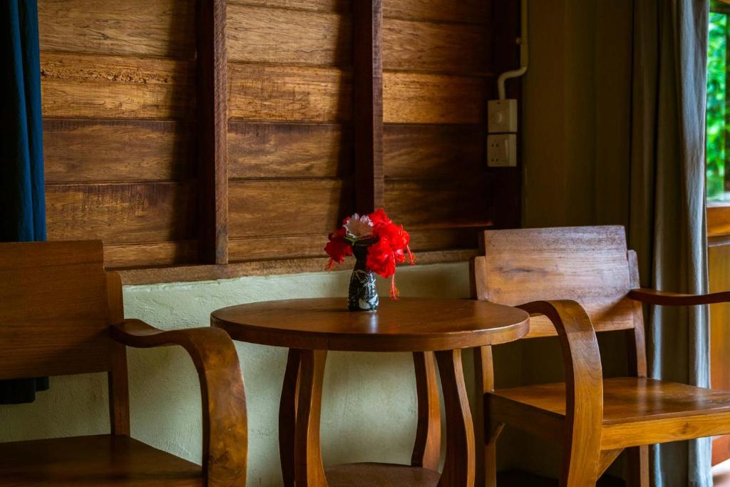 Monkey Mansion - Jungalows & Tours - 4