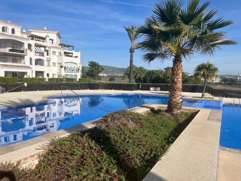 una piscina con una palmera frente a un edificio en La Casa Rosita, Hacienda Riquelme Golf Resort Sucina en Murcia