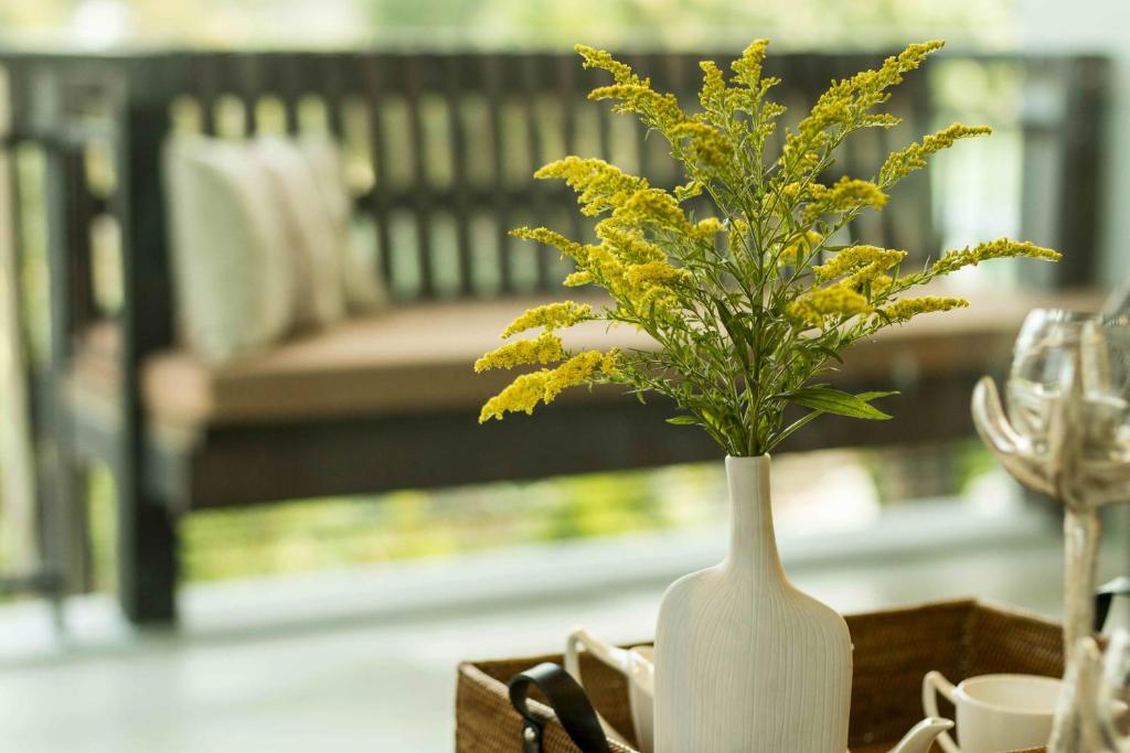 A styled dining table beside a bright window or open garden-facing area.