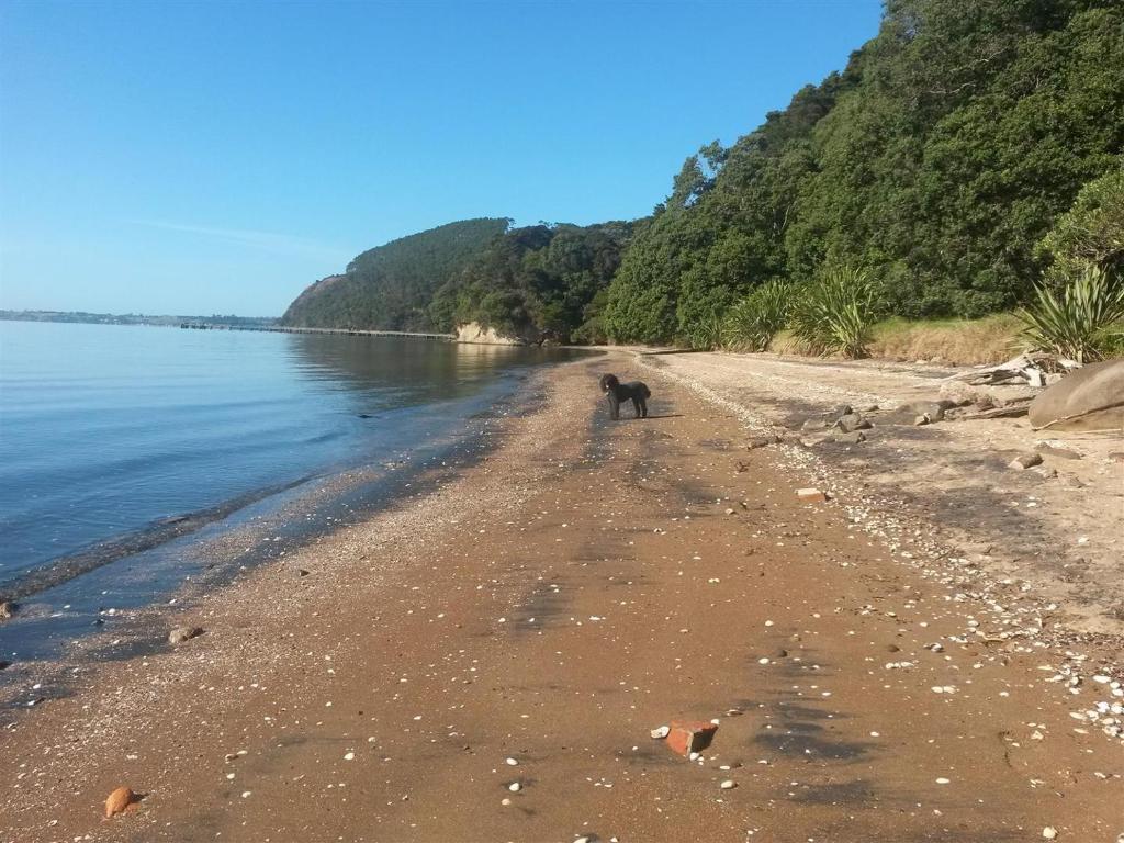 Cornwallis Palms - Resim 22