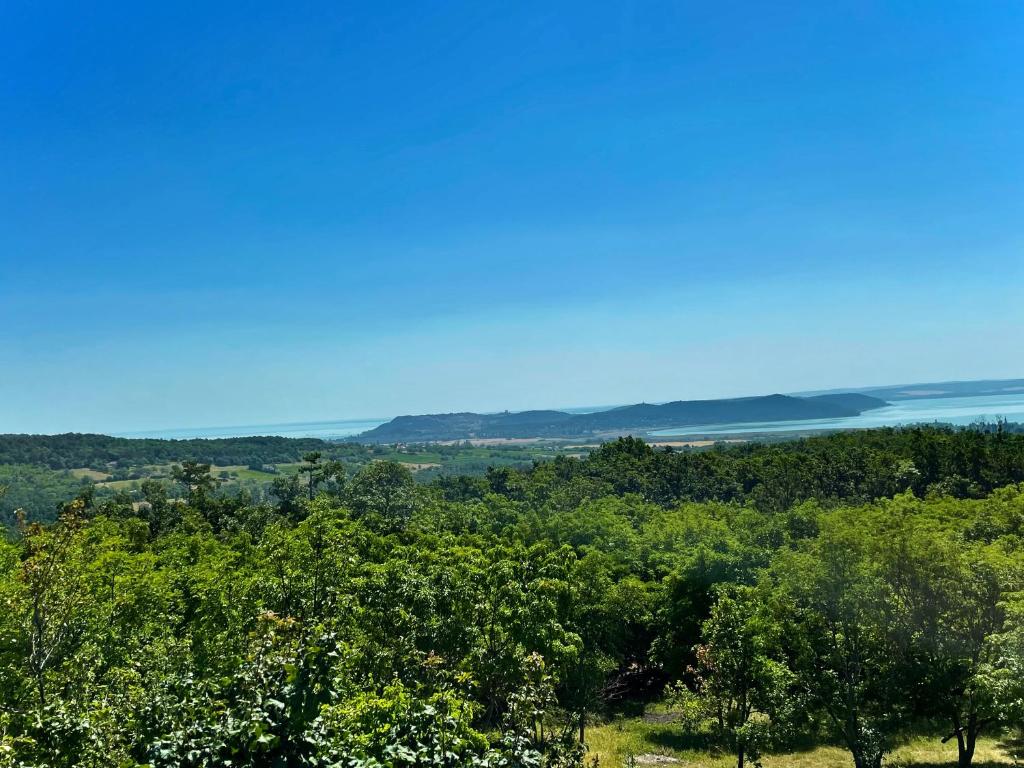 Príroda v okolí vily