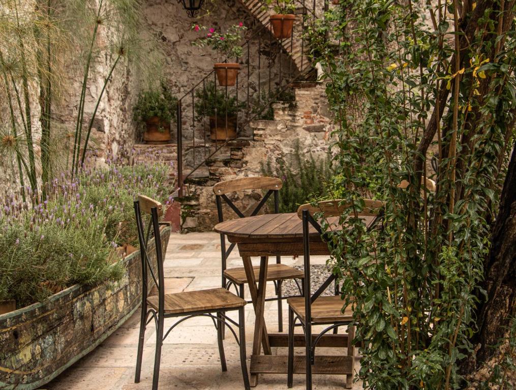 Zahrada ubytování Orchid House San Miguel de Allende
