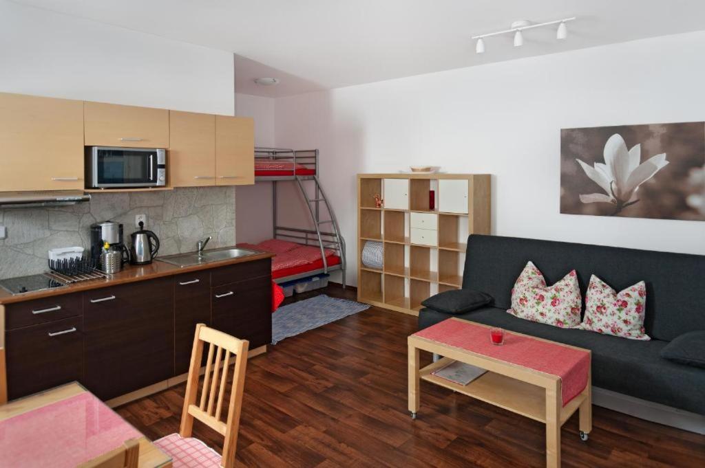 Kuchyň nebo kuchyňský kout v ubytování Apartmány KLÍNOVEC - Apartment KEILBERG