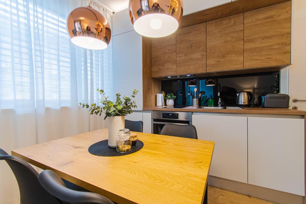 Kuchnia lub aneks kuchenny w obiekcie Flexible SelfCheckIns 36 - Zagreb - Garage - Loggia - New - Luxury
