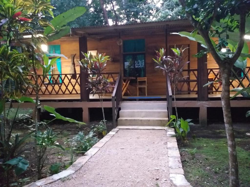 a house in the woods with a pathway leading to it at Cabaña Tu´ur in Lacanjá