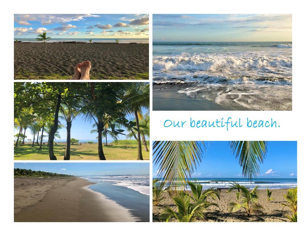 un collage de fotos de la playa y el océano en Villas Playa Palo Seco, en Parrita