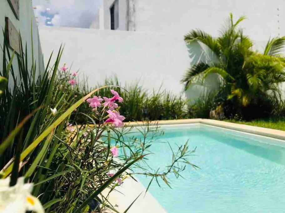 Holiday home Casa Gilda Private Pool, Playa del Carmen, Mexico