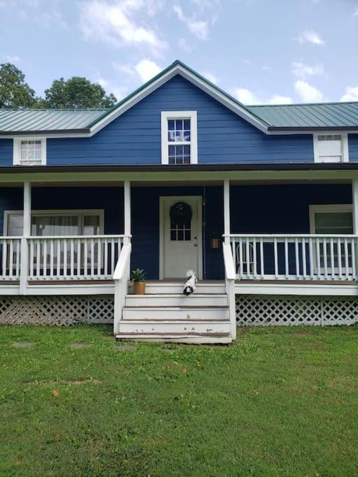 a dog sitting on the front porch of a blue house at Red River Gorge Farmhouse 50 Acres in Stanton