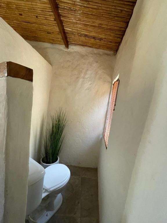 Vista del Mar Casa y Bungalows