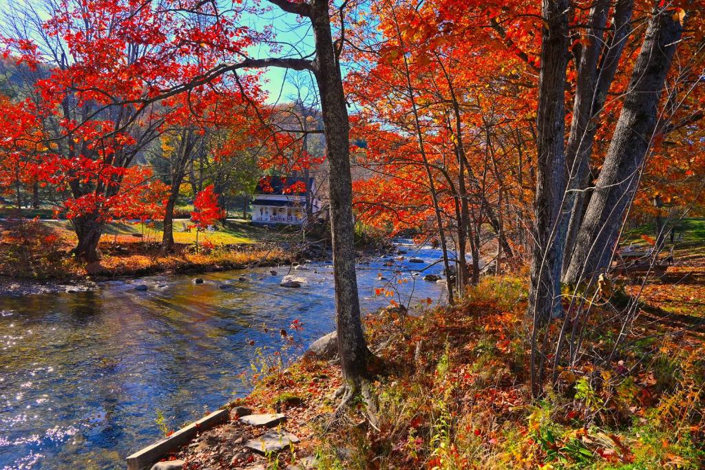 The Lodge at Jackson Village photo