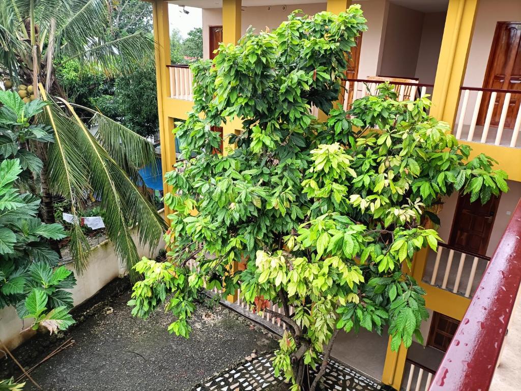 Jardí fora de Speed 8 Inn Moalboal