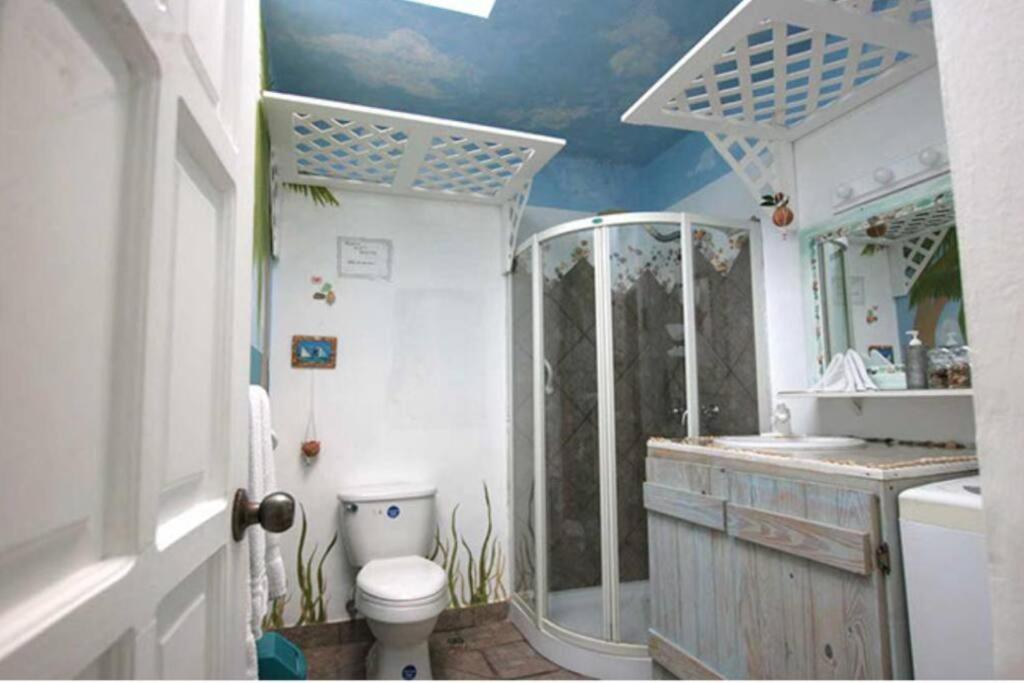 uma casa de banho com um WC, um chuveiro e um lavatório. em Cabarete Beachfront Condos Nanny Estate A3 em Cabarete