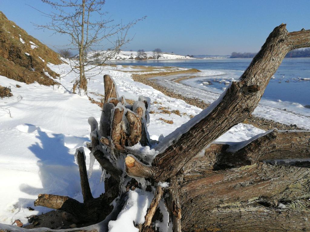Příroda nedaleko ubytování na lodi