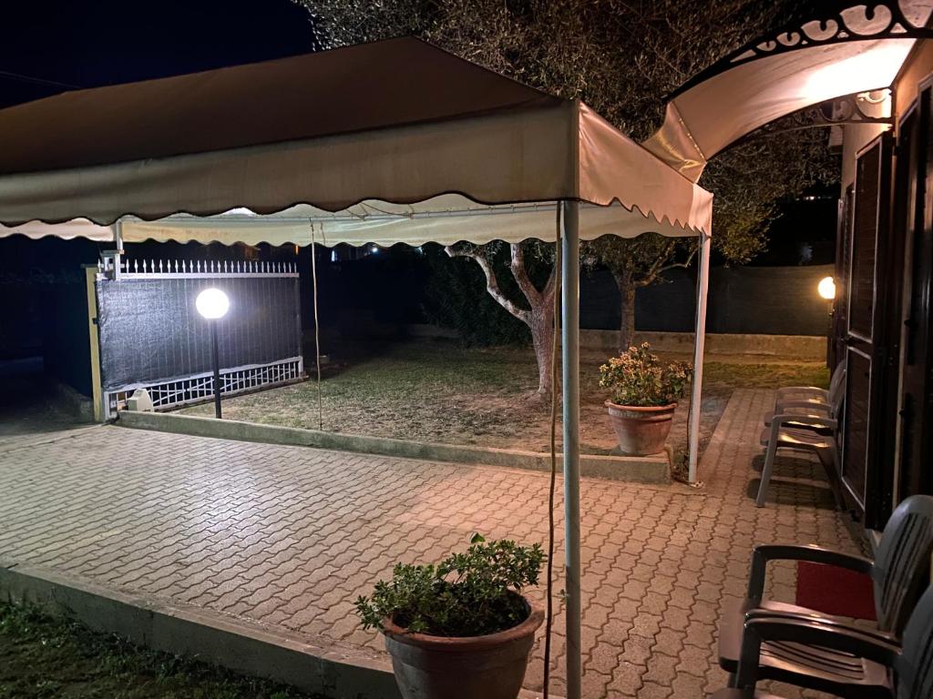 A garden outside Casa versilia
