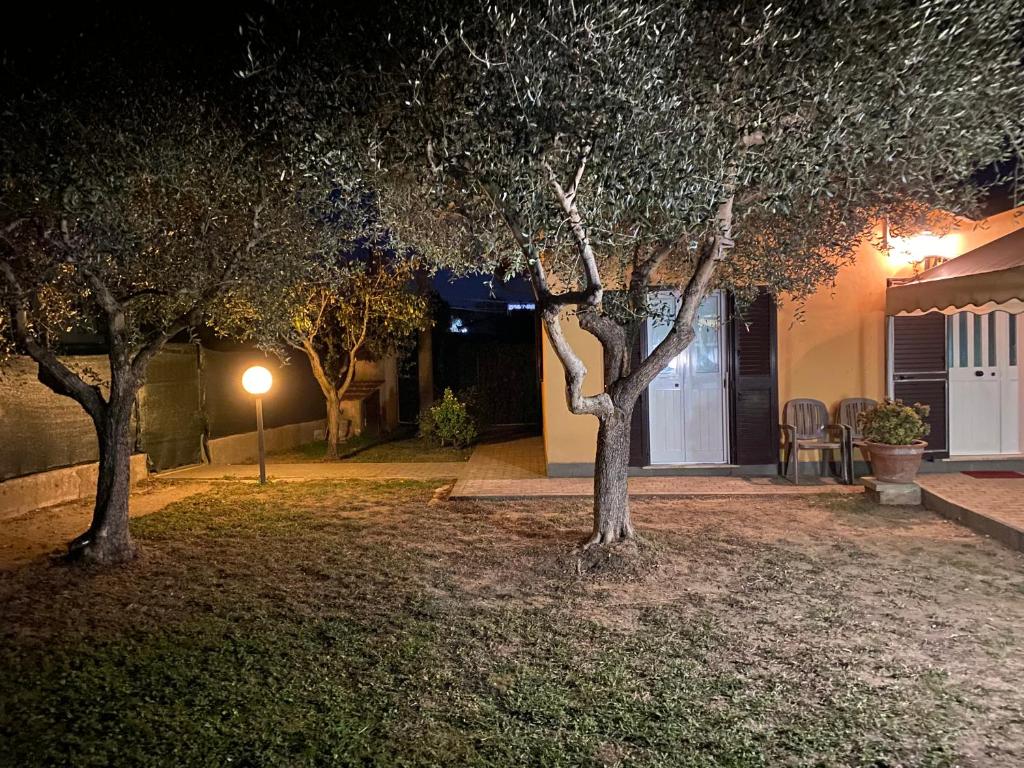 A garden outside Casa versilia
