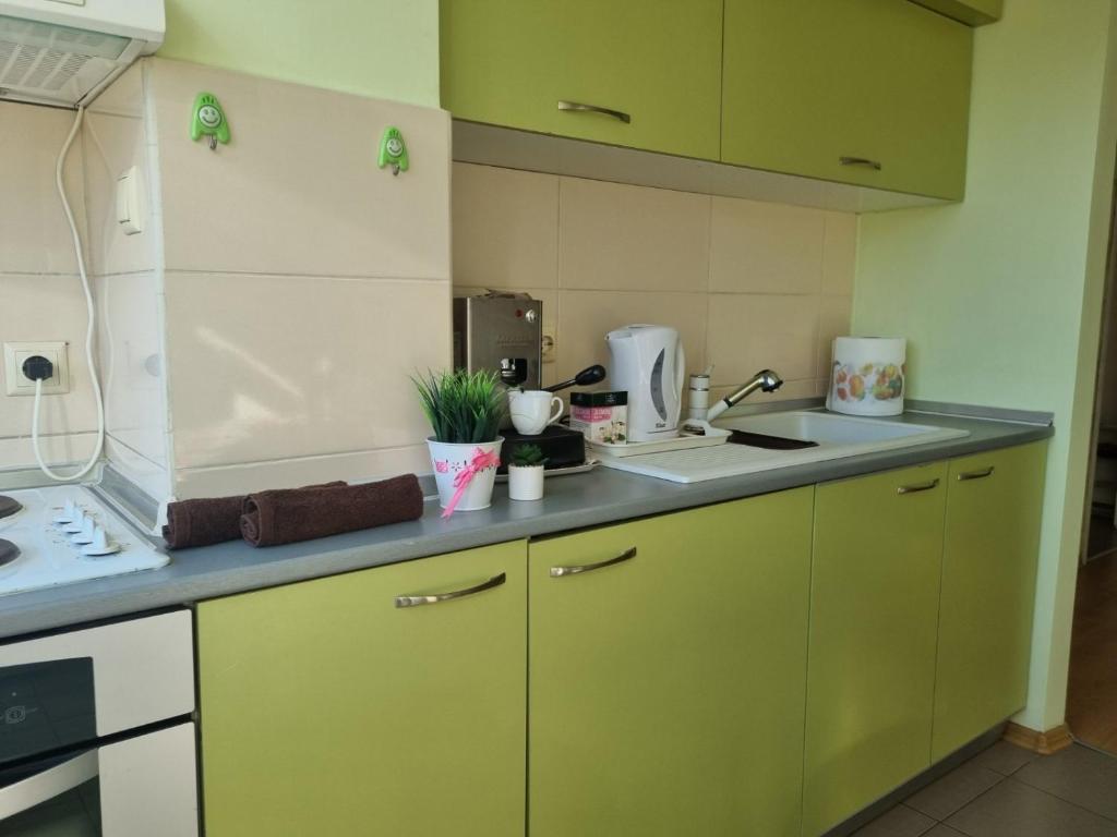 una cocina con armarios verdes y fregadero en Апартамент Медика en Ruse