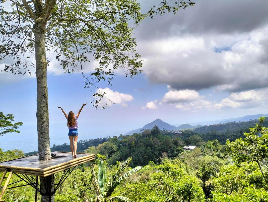 a woman standing on top of a tree house at Wanagiri Campsite in Gitgit