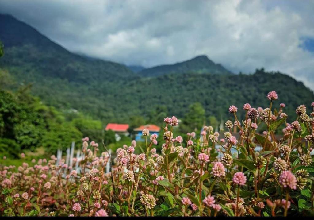 Un paisaje natural cerca del hotel