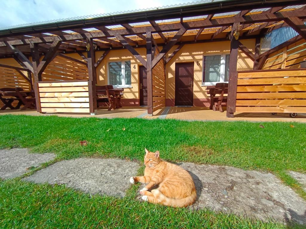Domácí mazlíčci ubytovaní s hosty v ubytování Agroturystyka Alex